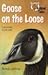 Goose on the Loose