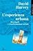 L'esperienza urbana: Metropoli e trasformazioni sociali