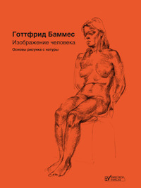 Изображение человека. Основы рисунка с натуры