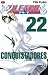Bleach Vol. 22: Conquistadores