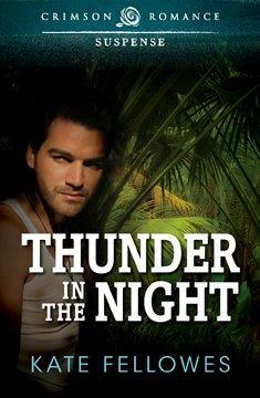 Thunder in the Night