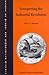 Interpreting the Industrial Revolution (Essays on Global and Comparative History Series)