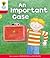 An Important Case (Oxford Reading Tree, Stage 4, More Stories C)