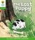 The Lost Puppy by Roderick Hunt