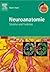 Neuroanatomie: Struktur und...