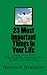 23 Most Important Things In...