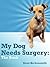 My Dog Needs Surgery: Stori...