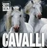 Cavalli (Cube Book)