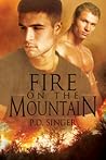 Fire on the Mountain by P.D. Singer