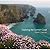 Exploring the Cornish Coast by David Chapman