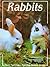 Rabbits-Poster Book
