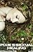 Pixie's Sexual Healing (Pixies Desire #2)