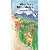 What Is a Mountain? (Just Ask Book)