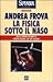 La fisica sotto il naso. 44 pezzi facili by Andrea Frova