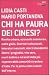 Chi ha paura dei cinesi?