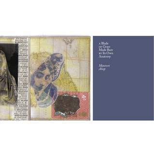 A Blade of Grass Made Bare by Its Own Anatomy