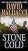 Stone Cold (Camel Club, #3)