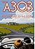 The A303: Highway to the Sun