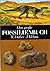 Das große Fossilienbuch