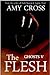 The Flesh  (Ghosts #5)