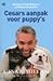 Cesars aanpak voor puppy's