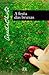 A Festa das Bruxas by Agatha Christie