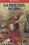La piccola scopa