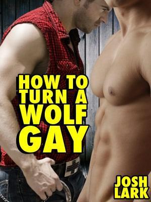 How to Turn a Wolf Gay (Nook)