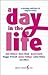 A Day in the Life