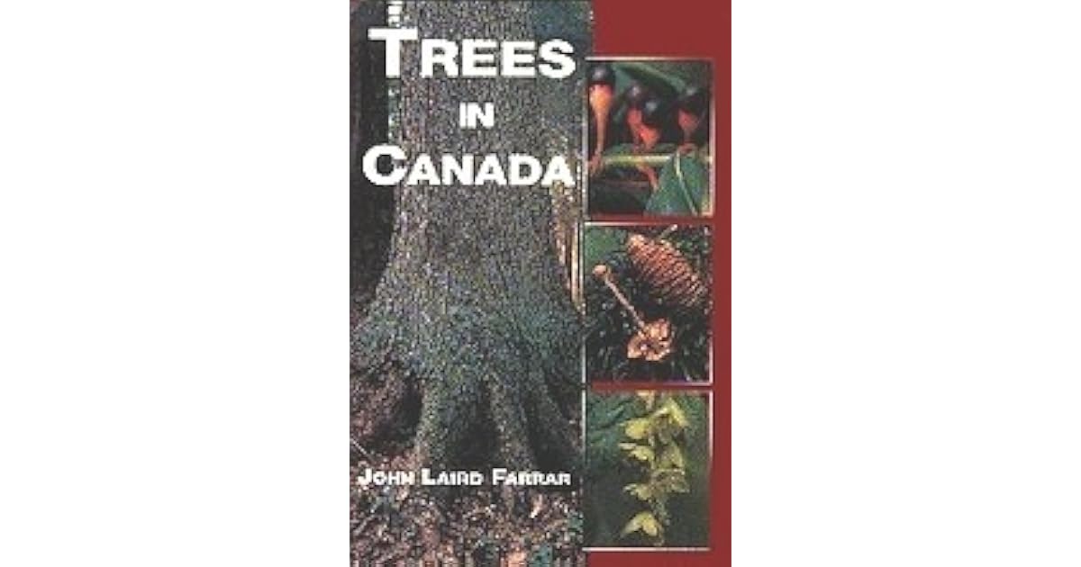Trees in Canada by John Laird Farrar