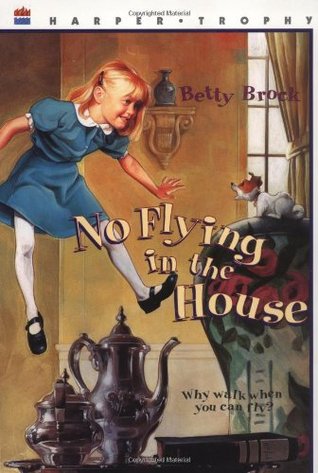 no flying in the house book