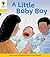 A Little Baby Boy (Oxford Reading Tree: Stage 5: Floppy's Phonics)