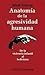 Anatomia De La Agresividad ...