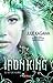 El rey de hierro (The Iron Fey, #1)