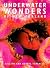 Underwater Wonders of New Z...