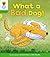 What a Bad Dog! (Oxford Reading Tree, Stage 2, Stories)
