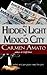 The Hidden Light of Mexico City by Carmen Amato