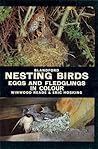 Nesting Birds, Eggs and Fledglings