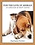 For the Love of Animals by Barbara Techel