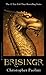 Brisingr by Christopher Paolini