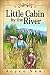 Little Cabin by the River