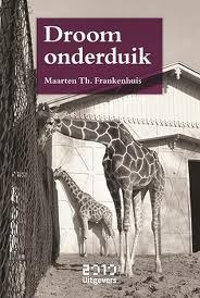 Droomonderduik (Paperback)