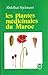 Les plantes médicinales du Maroc