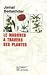 Le Maghreb à travers ses Plantes