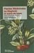 Plantes médicinales au Maghreb et soins de base