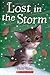 Lost in the Storm