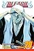Bleach, Volume 20
