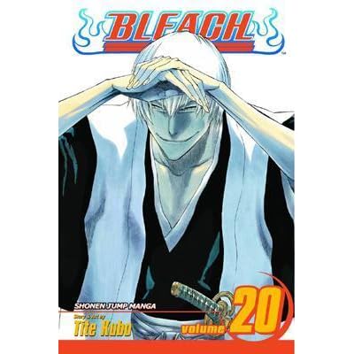 Bleach Ending 28