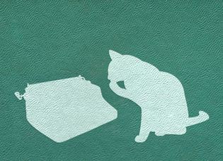 Cat Pic Fan Fic