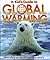 A Kid's Guide to Global Warming